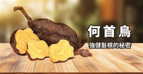 何首烏是什麼|何首烏有分顏色，料理用途、食補效果都不同？